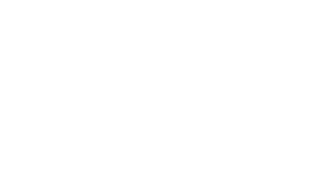 Global Vision