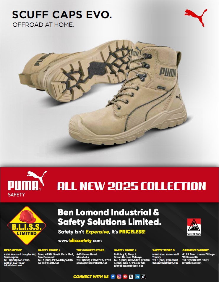 Catalogs BLISS Safety Store Official Website